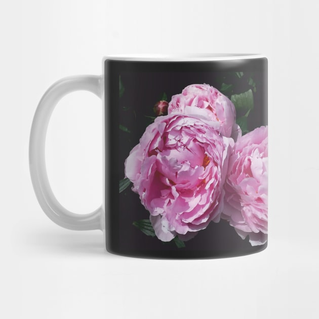 Peony by robelf